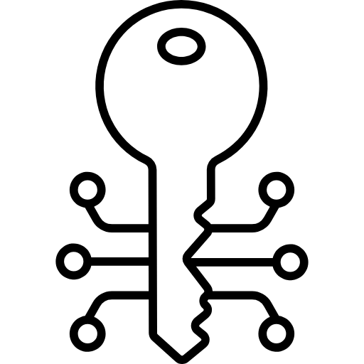 Electronic Key