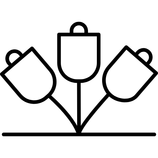 Three Flower