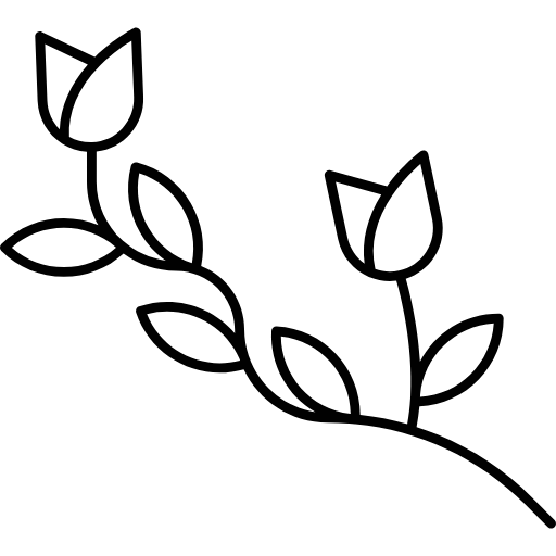 Tulip Branch